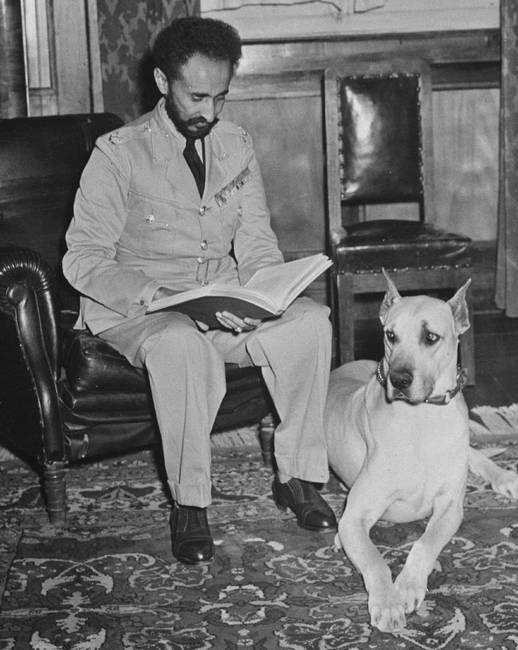 Иллюстрация к книге — Что такое Африка [i_119.jpg]