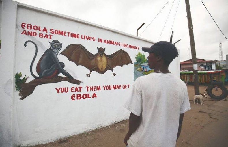 Иллюстрация к книге — Что такое Африка [i_145.jpg]