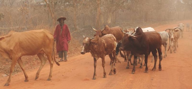 Иллюстрация к книге — Что такое Африка [i_148.jpg]