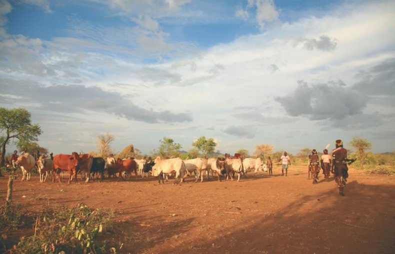 Иллюстрация к книге — Что такое Африка [i_149.jpg]