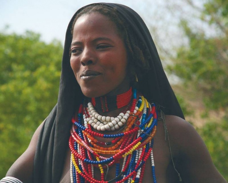 Иллюстрация к книге — Что такое Африка [i_152.jpg]