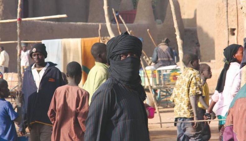 Иллюстрация к книге — Что такое Африка [i_195.jpg]