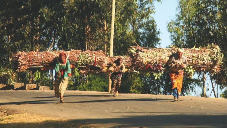 Иллюстрация к книге — Что такое Африка [i_197.jpg]