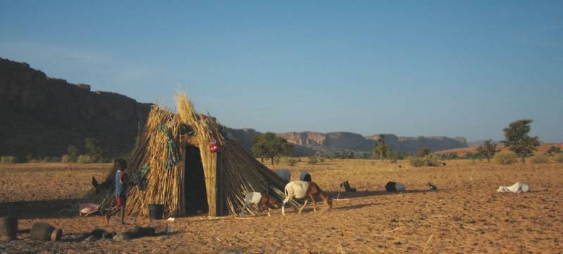 Иллюстрация к книге — Что такое Африка [i_206.jpg]