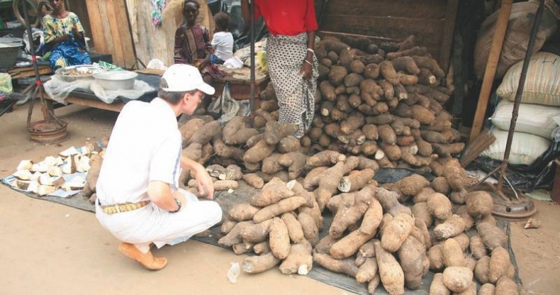 Иллюстрация к книге — Что такое Африка [i_215.jpg]