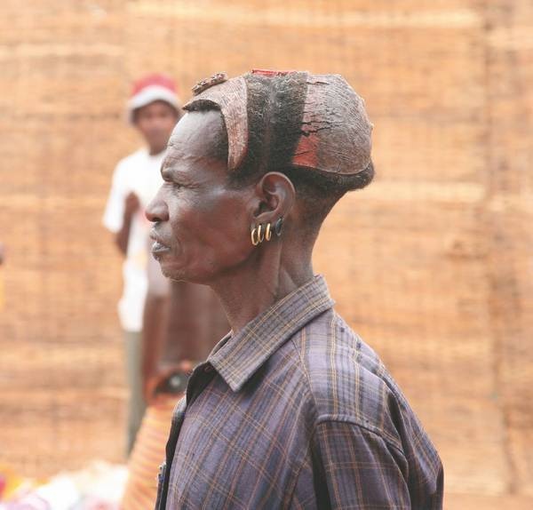 Иллюстрация к книге — Что такое Африка [i_225.jpg]