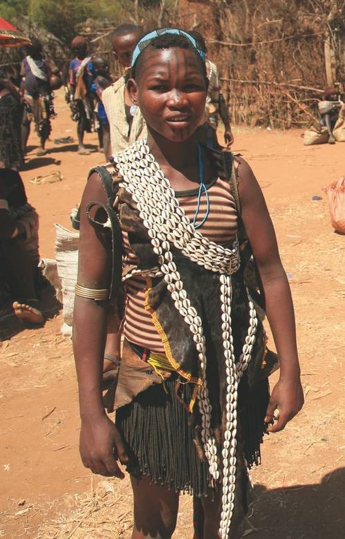 Иллюстрация к книге — Что такое Африка [i_227.jpg]