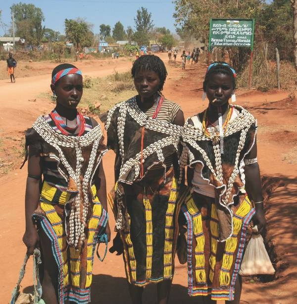 Иллюстрация к книге — Что такое Африка [i_229.jpg]