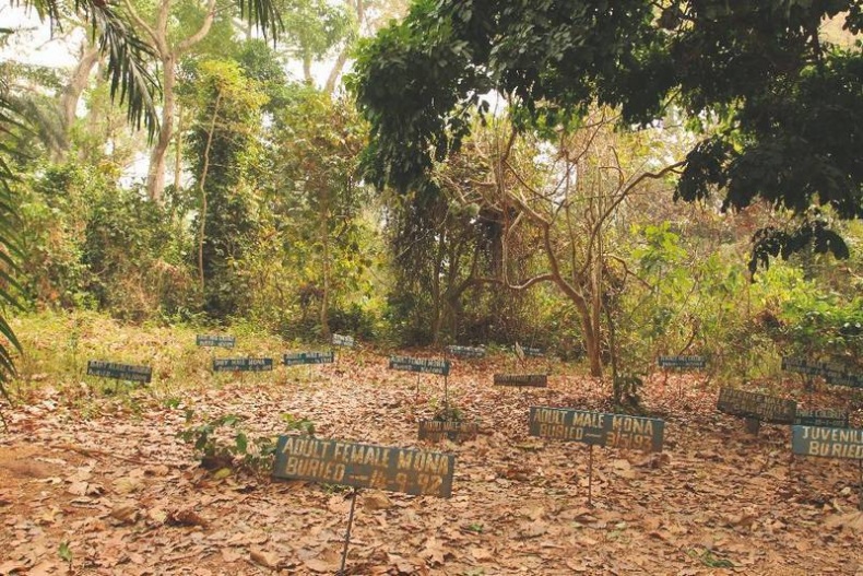 Иллюстрация к книге — Что такое Африка [i_292.jpg]