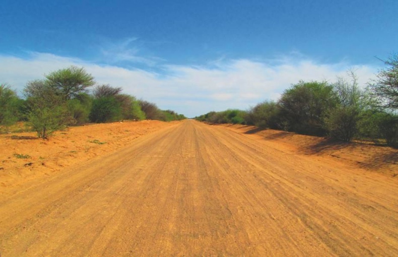 Иллюстрация к книге — Что такое Африка [i_305.jpg]