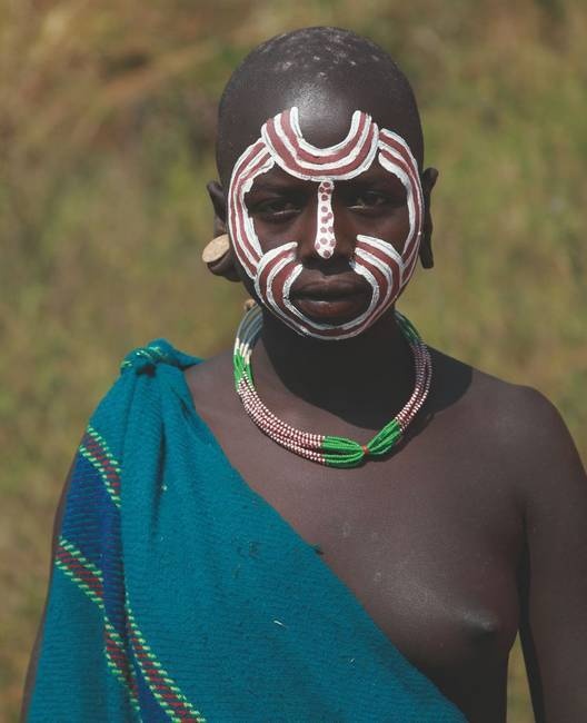 Иллюстрация к книге — Что такое Африка [i_306.jpg]