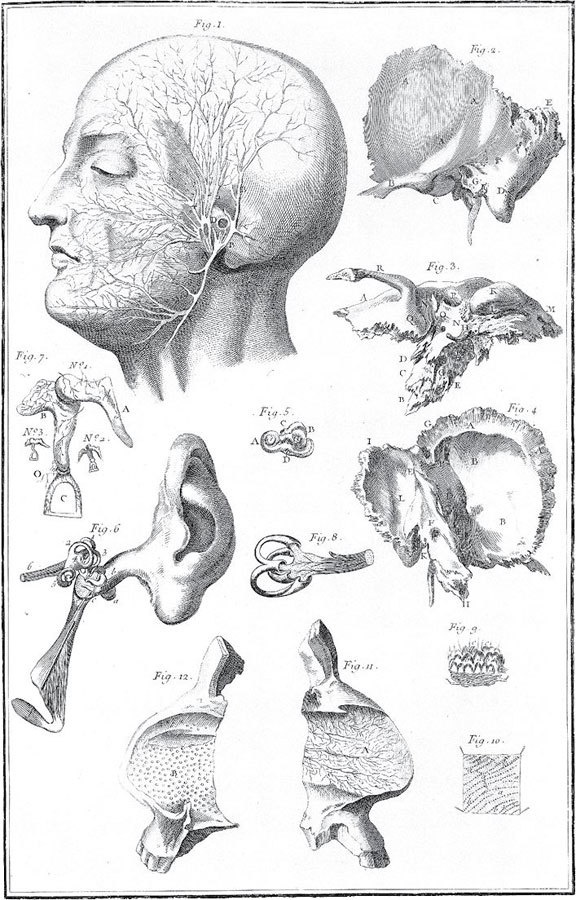 Иллюстрация к книге — История человечества в великих документах  [i_086.jpg]