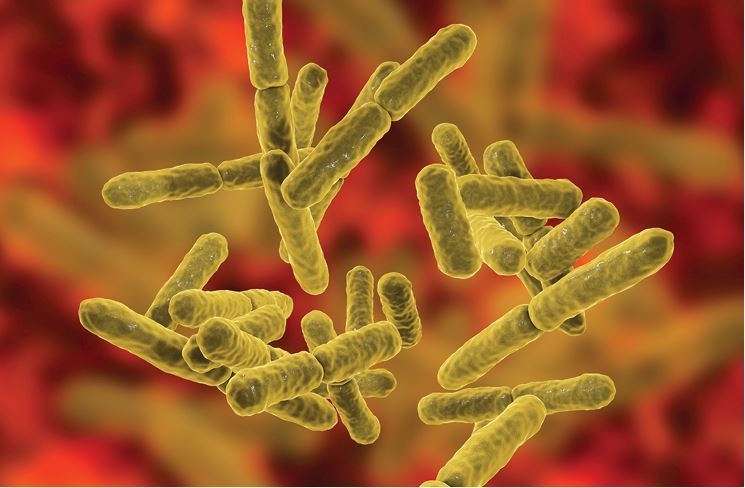 Иллюстрация к книге — История человечества в великих документах  [i_127.jpg]