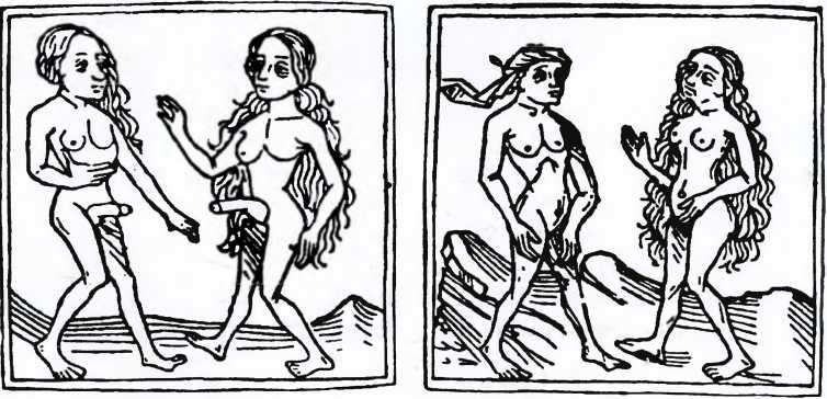 Иллюстрация к книге — Дела плоти. Интимная жизнь людей Средневековья в пространстве судебной полемики [i_017.jpg]