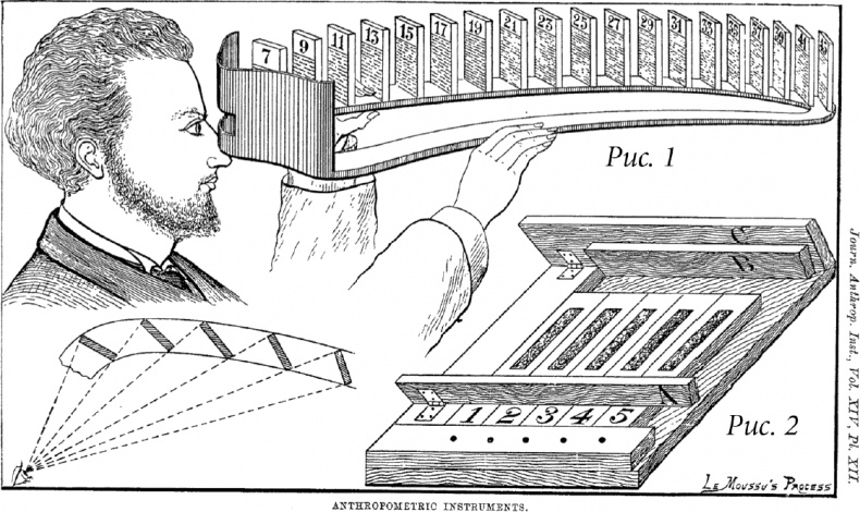 Иллюстрация к книге — Краткая история всех, кто когда-либо жил. История человечества, рассказанная через наши гены [i_005.jpg]