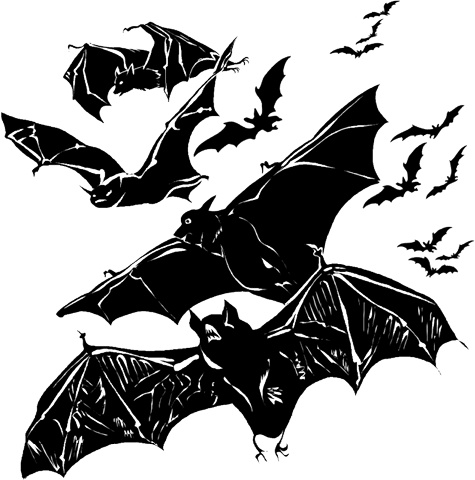 Иллюстрация к книге — Призрак на чердаке  [i_022.jpg]