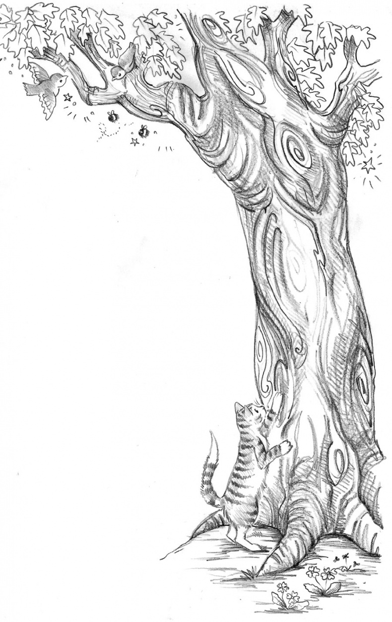 Иллюстрация к книге — Пони Мэйзи, или Подковы для полёта [i_005.jpg]