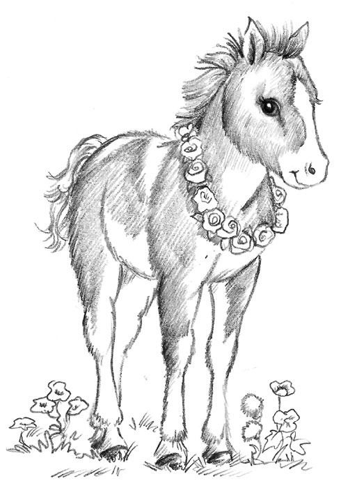 Иллюстрация к книге — Пони Мэйзи, или Подковы для полёта [i_013.jpg]