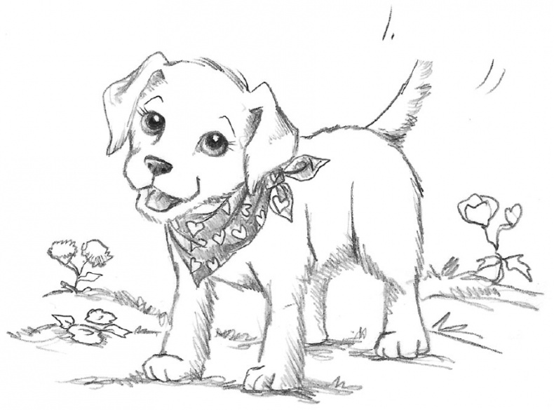 Иллюстрация к книге — Пони Мэйзи, или Подковы для полёта [i_019.jpg]