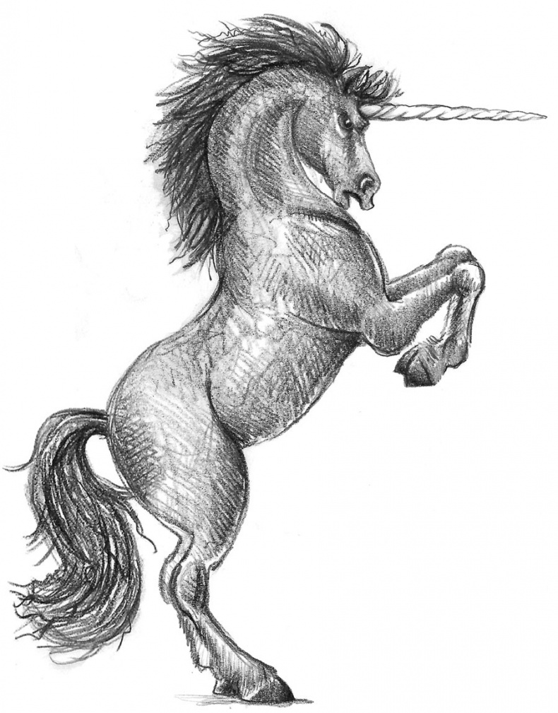 Иллюстрация к книге — Пони Мэйзи, или Подковы для полёта [i_034.jpg]