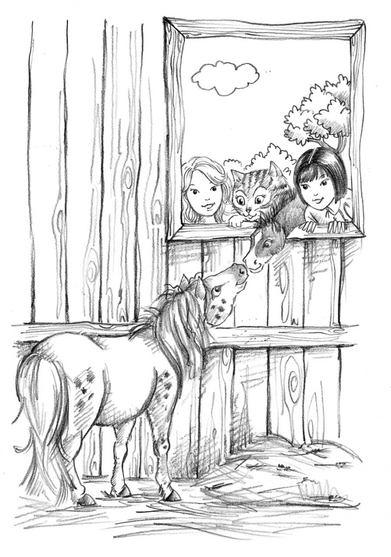 Иллюстрация к книге — Пони Мэйзи, или Подковы для полёта [i_041.jpg]