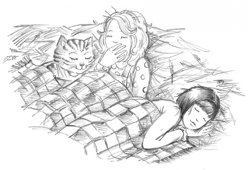 Иллюстрация к книге — Пони Мэйзи, или Подковы для полёта [i_053.jpg]