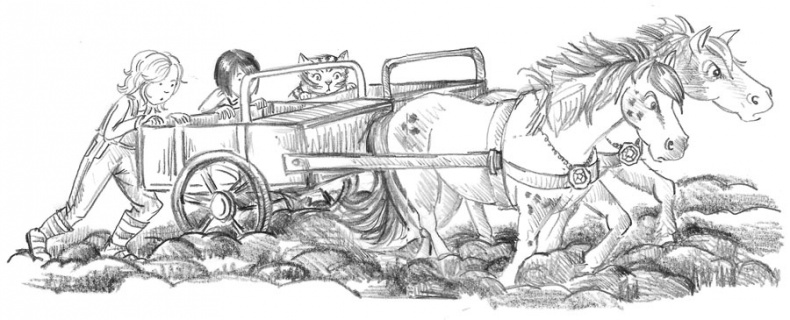 Иллюстрация к книге — Пони Мэйзи, или Подковы для полёта [i_060.jpg]