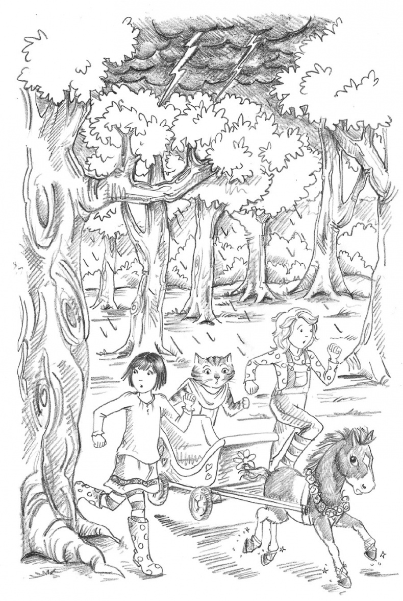 Иллюстрация к книге — Пони Мэйзи, или Подковы для полёта [i_063.jpg]