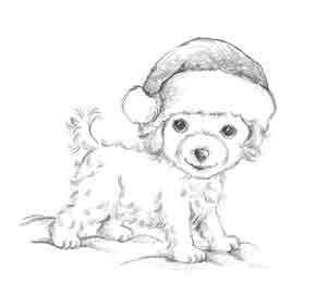 Иллюстрация к книге — Щенок Холли, или Туфли для ведьмы [block_00119211.jpg_1.jpg]