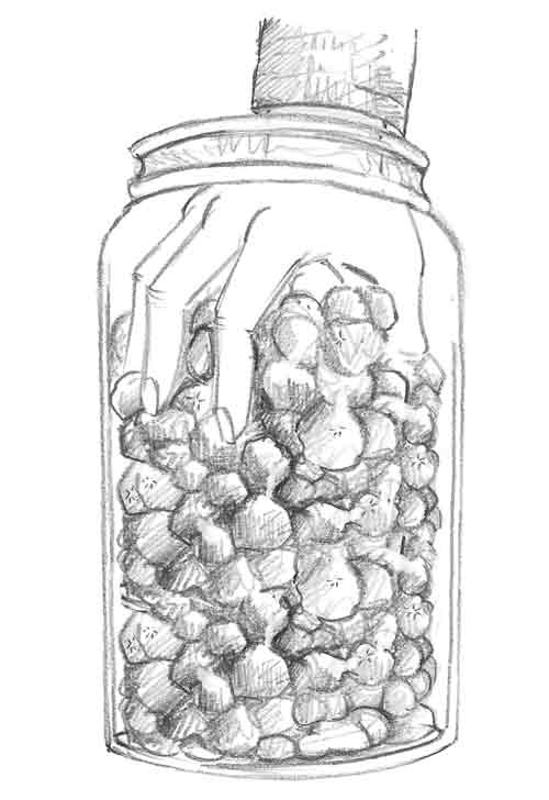 Иллюстрация к книге — Щенок Холли, или Туфли для ведьмы [block_00119223.jpg]