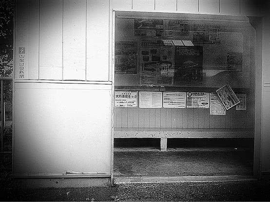 Иллюстрация к книге — Стоит только замолчать [i_011.jpg]