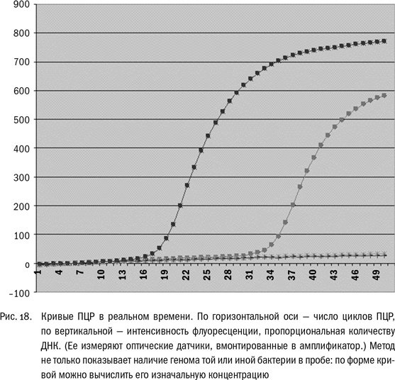 Иллюстрация к книге — ДНК и её человек. Краткая история ДНК-идентификации [i_018.jpg]
