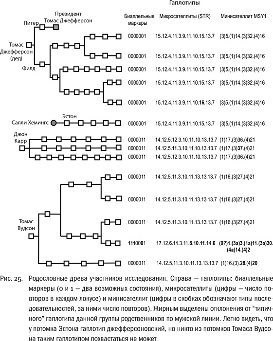 Иллюстрация к книге — ДНК и её человек. Краткая история ДНК-идентификации [i_025.jpg]