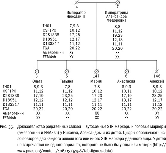 Иллюстрация к книге — ДНК и её человек. Краткая история ДНК-идентификации [i_035.jpg]