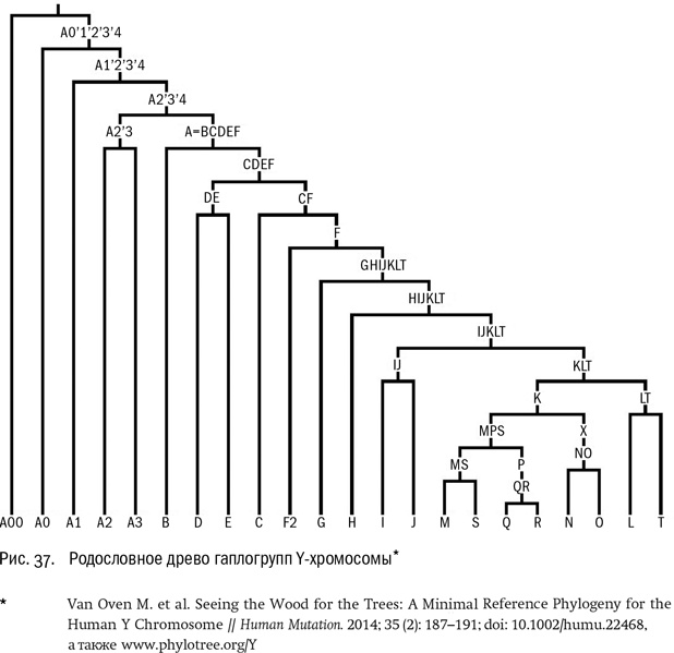 Иллюстрация к книге — ДНК и её человек. Краткая история ДНК-идентификации [i_037.jpg]
