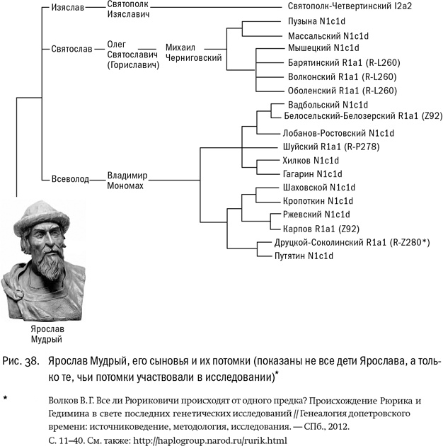 Иллюстрация к книге — ДНК и её человек. Краткая история ДНК-идентификации [i_038.jpg]