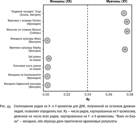 Иллюстрация к книге — ДНК и её человек. Краткая история ДНК-идентификации [i_045.jpg]