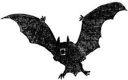 Иллюстрация к книге — Мастер ужасок [i_003.jpg]