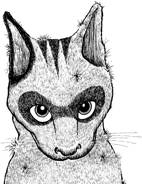 Иллюстрация к книге — Мастер ужасок [i_007.jpg]