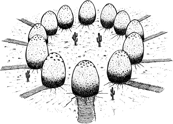 Иллюстрация к книге — Мастер ужасок [i_040.jpg]