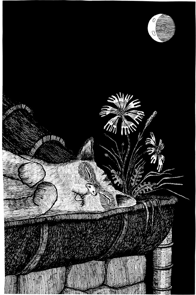 Иллюстрация к книге — Мастер ужасок [i_041.jpg]