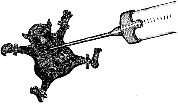 Иллюстрация к книге — Мастер ужасок [i_042.jpg]