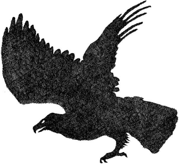 Иллюстрация к книге — Мастер ужасок [i_045.jpg]