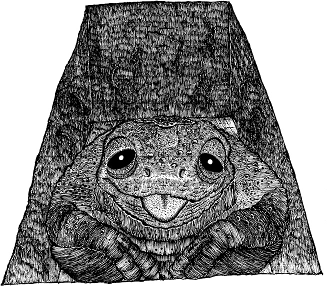 Иллюстрация к книге — Мастер ужасок [i_072.jpg]