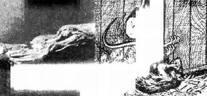 Иллюстрация к книге — Хитрее человека. Исчерпывающая история крысы и человеческая  цивилизация [_04.jpg]