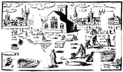 Иллюстрация к книге — Хитрее человека. Исчерпывающая история крысы и человеческая  цивилизация [_15.jpg]