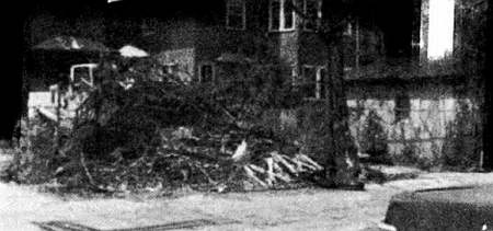 Иллюстрация к книге — Хитрее человека. Исчерпывающая история крысы и человеческая  цивилизация [_39.jpg]