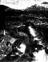 Иллюстрация к книге — Хитрее человека. Исчерпывающая история крысы и человеческая  цивилизация [_60.jpg]