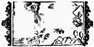 Иллюстрация к книге — Хитрее человека. Исчерпывающая история крысы и человеческая  цивилизация [_61.jpg]