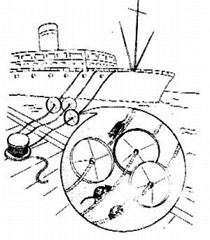 Иллюстрация к книге — Хитрее человека. Исчерпывающая история крысы и человеческая  цивилизация [_76.jpg]